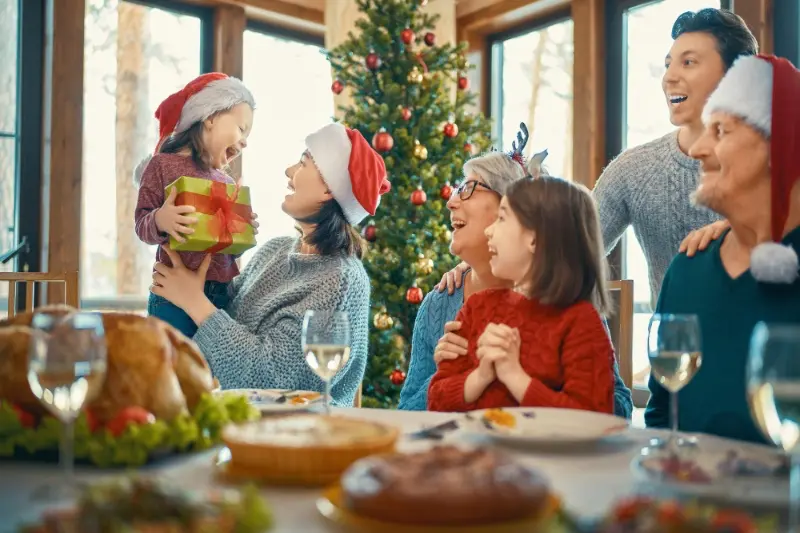 6 Reasons Why Solar Panels In Ireland Are Worth It This Christmas - Alternative Energy Ireland (2)