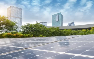 5 Reasons Why You Need Commercial Solar Panels