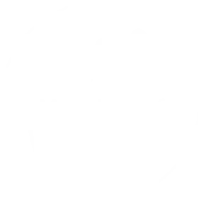 Wewise Label White